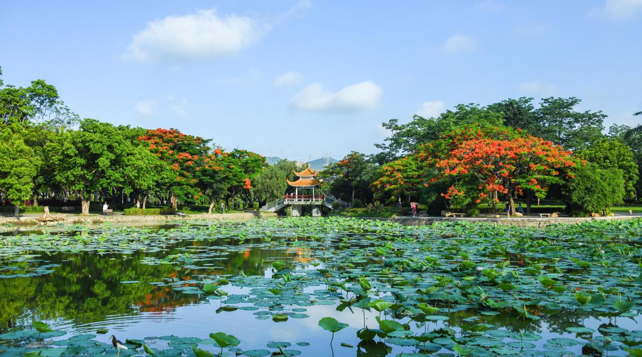Shenzhen Honghu Park Shenzhen Honghu Park